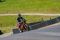 cadwell-park;cadwell-park-photographs;cadwell-trackday-photographs;enduro-digital-images;event-digital-images;eventdigitalimages;peter-wileman-photography;racing-digital-images;trackday-digital-images;trackday-photos
